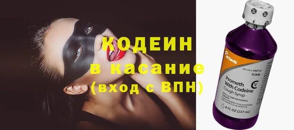 молекула духа Пестово