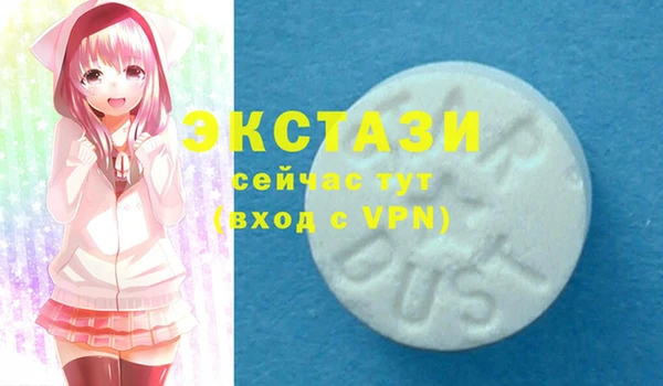 молекула духа Пестово