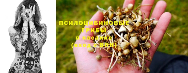 герыч Арсеньев