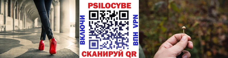 Псилоцибиновые грибы GOLDEN TEACHER  купить наркотики сайты  Ржев 